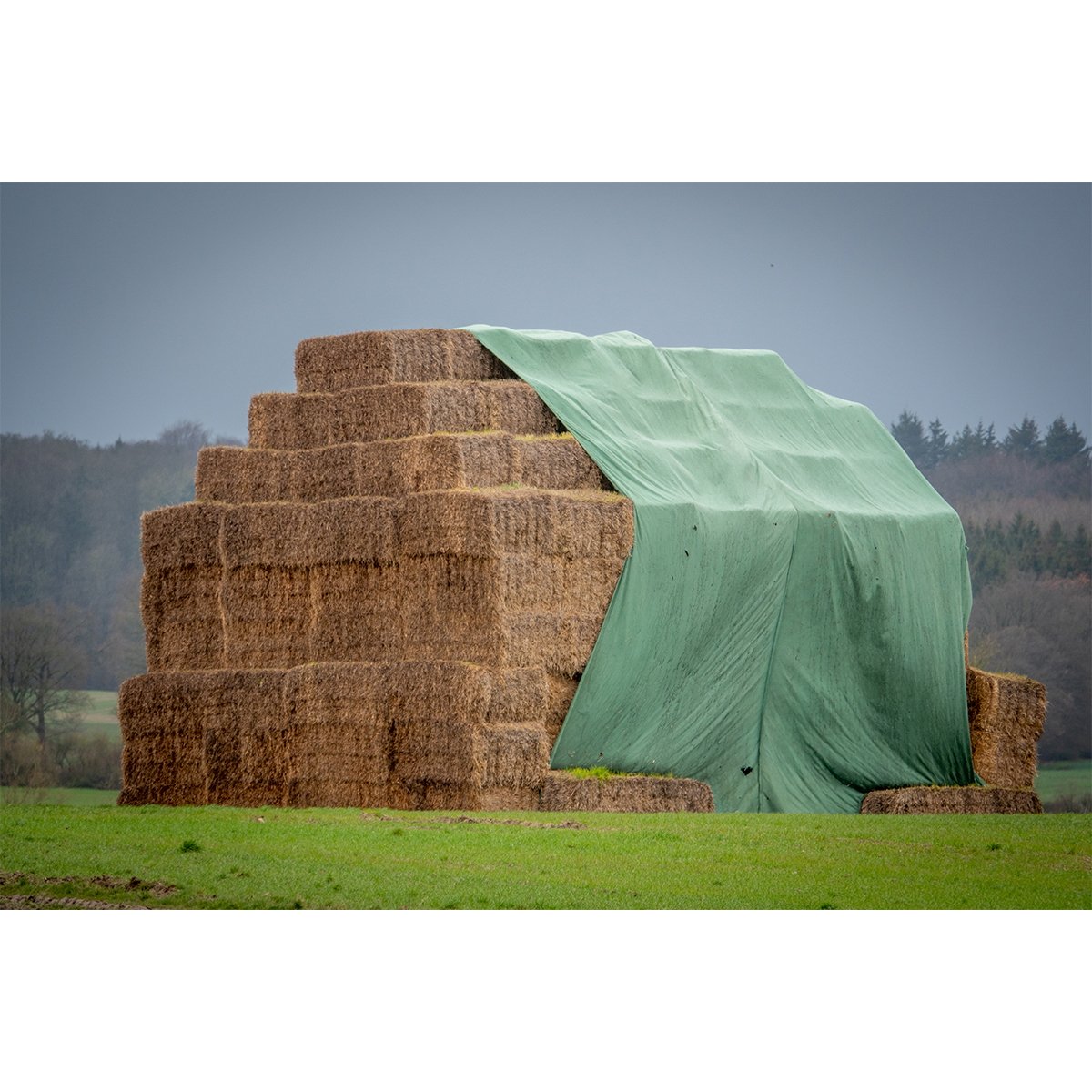 Prelata acoperire baloti fan si paie verde 12X25m, 140gr Breckner Germany
